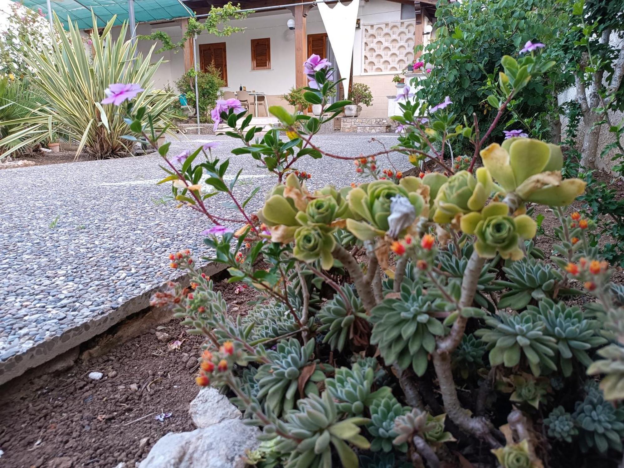 Il Giardino Di Sofia Charm And Comfort Apartment 托里德欧索 外观 照片