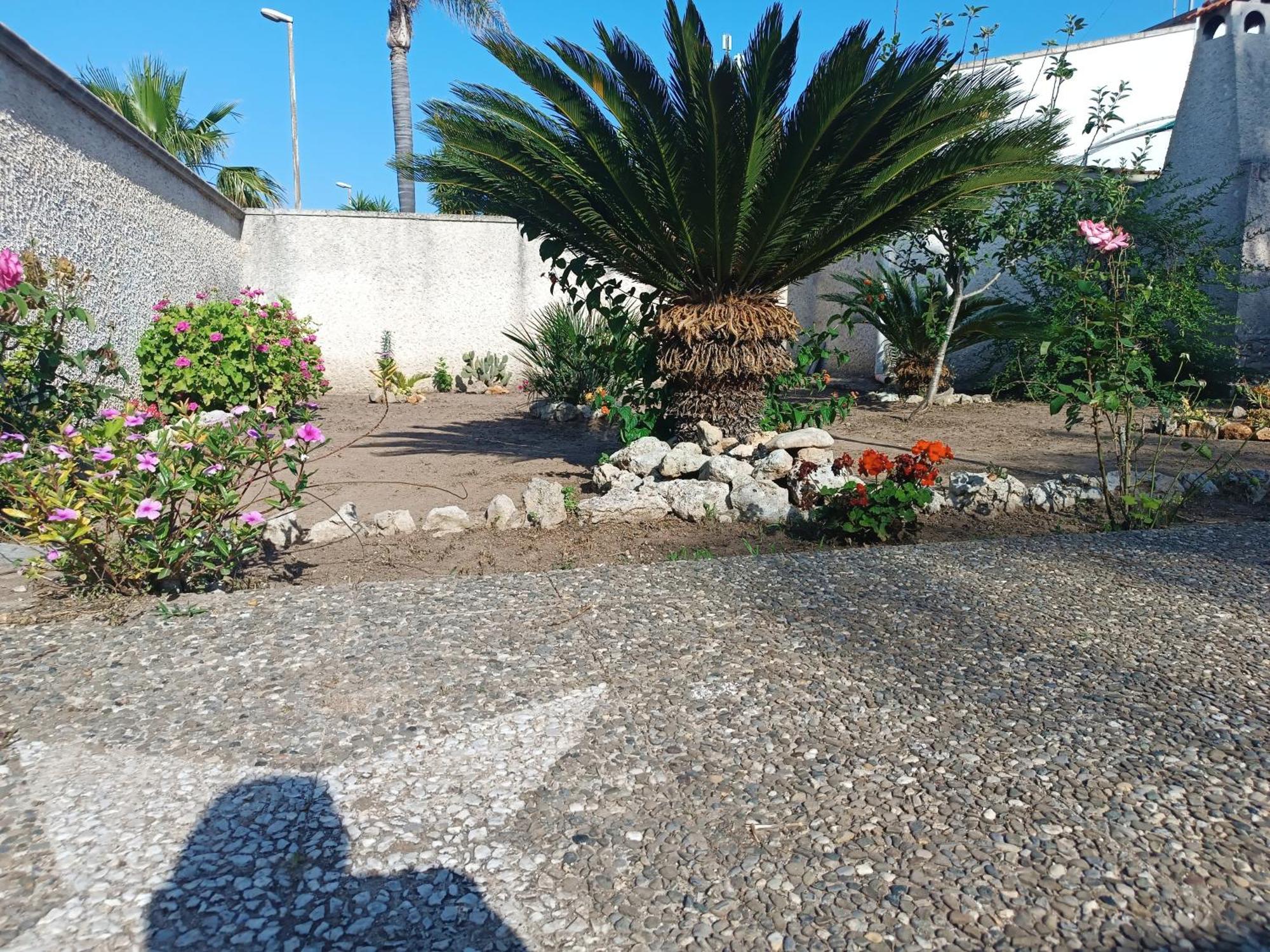 Il Giardino Di Sofia Charm And Comfort Apartment 托里德欧索 外观 照片